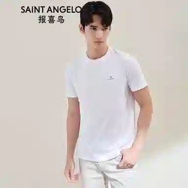 SAINT ANGELO T