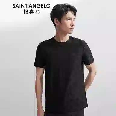 SAINT ANGELO T