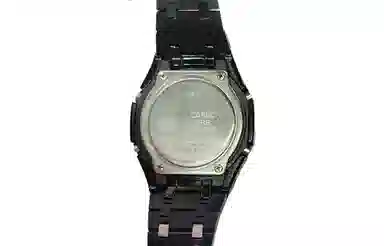 CASIO GA-2100-1A1