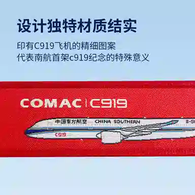 C919 IP