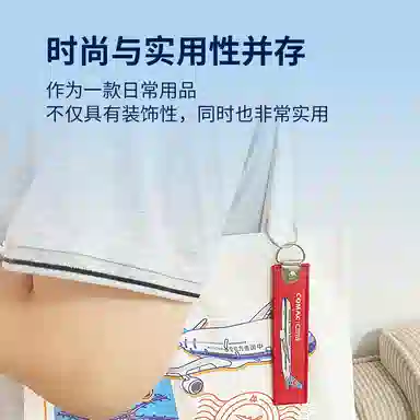C919 IP