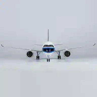 C919 1100