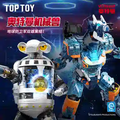 TOP TOY 300pcs 6936785444705