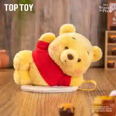 TOP TOY 6