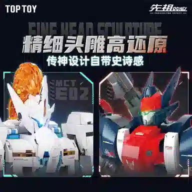 TOP TOY