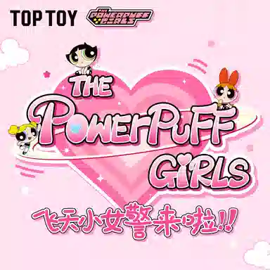 TOP TOY 8