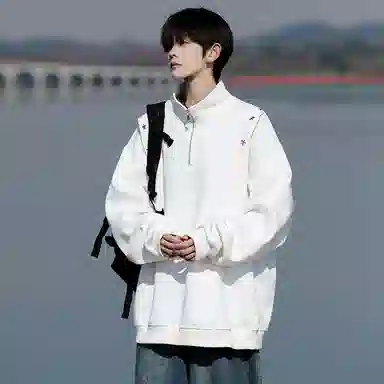 METE WHALE MT