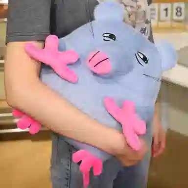WADORN 12cm25cm35cm45cm