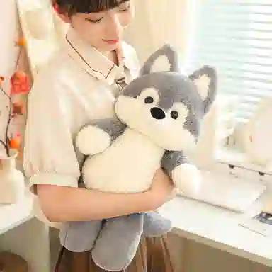 WADORN 50cm