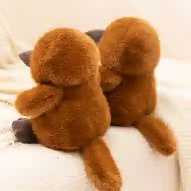WADORN 22cm