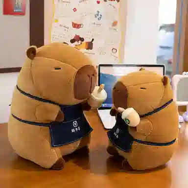 WADORN 25cm30cm40cm50cm