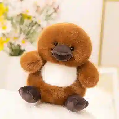 WADORN 22cm