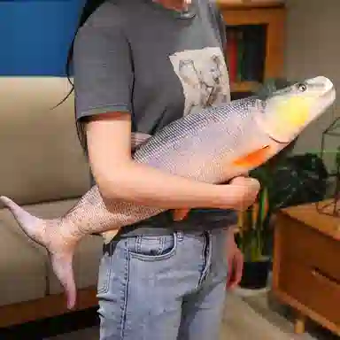 WADORN 40cm60cm80cm100cm