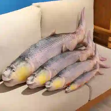 WADORN 40cm60cm80cm100cm