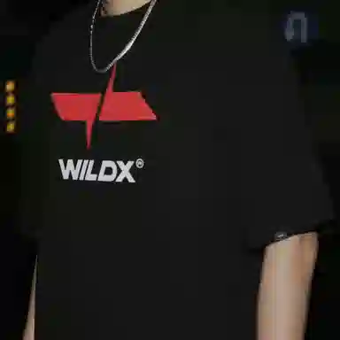 WILDX SPACE LOGOT