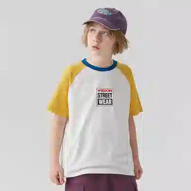 Vision Street Wear T