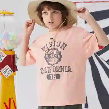 Vision Street Wear T