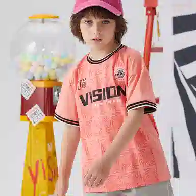 Vision Street Wear T