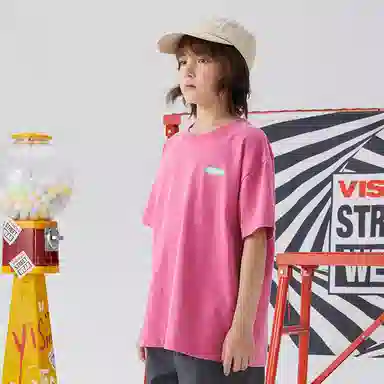 Vision Street Wear T