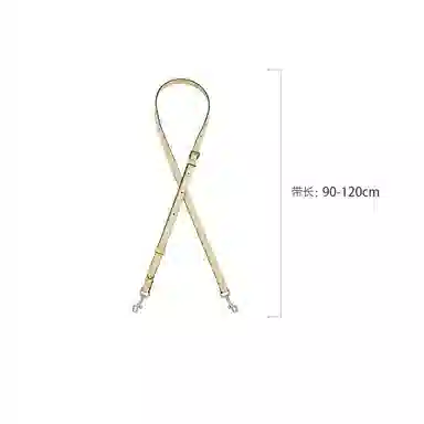 jingxi coach