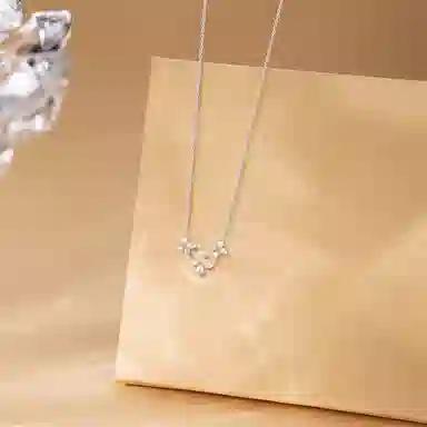 【纯银999 | 花团簇拥】 六桂福珠宝 经典百搭小众设计极简轻奢约会高级感学生日常精致简约通勤温柔气质可调节锁骨链 足银 项链 女款