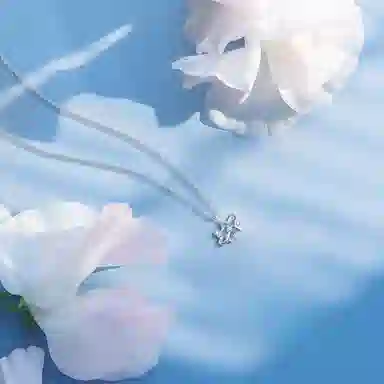 【纯银999】 六桂福珠宝 星星 小众设计经典百搭学生日常高级感简约精致轻奢转运约会通勤温柔气质可调节锁骨链 足银 项链 女款