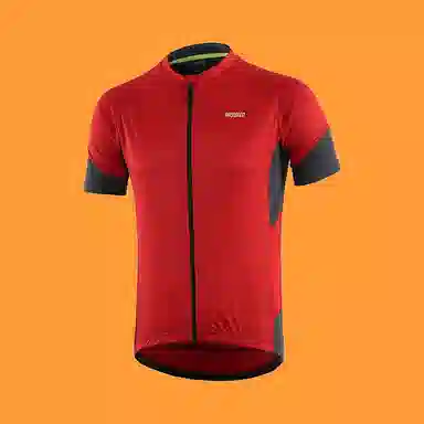 浪莎 夏季户外运动自行车骑行服短袖速干透气上衣男骑行配套