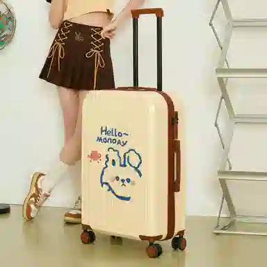 Zecedo ABS+PC 2024262228