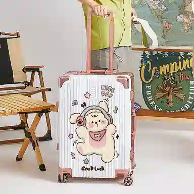 Zecedo ABS+PC 2024262228