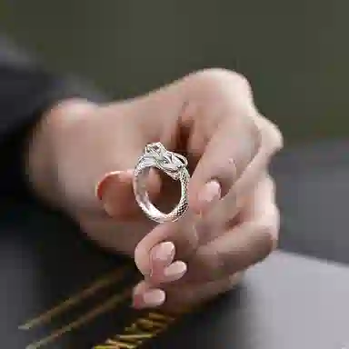 ins s925