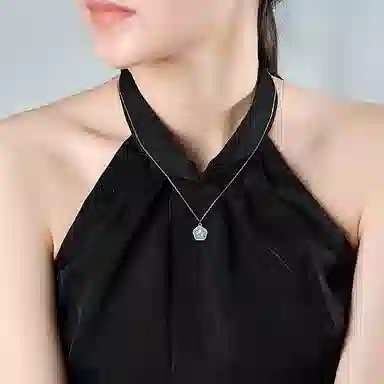S925 S925