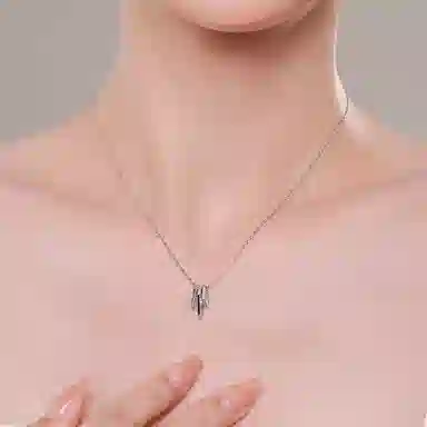 ins s925