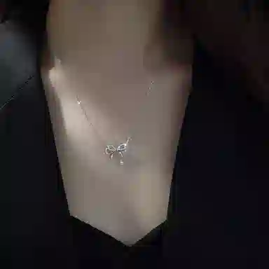 ins S999
