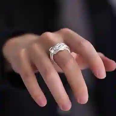 ins s925