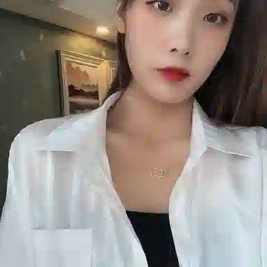 喜潮 几何圆环吊坠 精致轻奢优雅小众高级感锁骨链 项链 女款