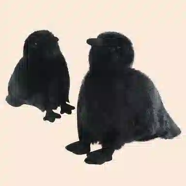 15cm25cm35cm