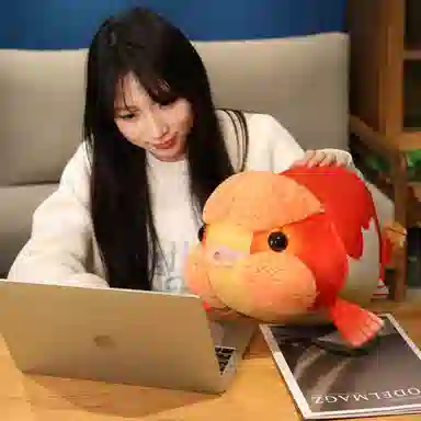 50cm