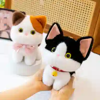23cm