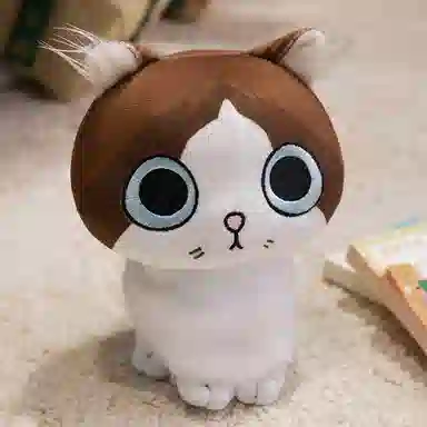 15cm