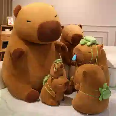 25cm35cm45cm60cm80cm100cm