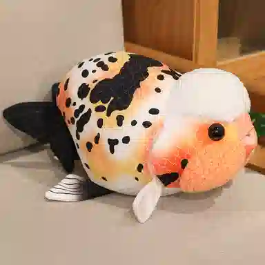 50cm