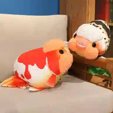 50cm