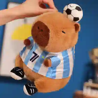 22cm
