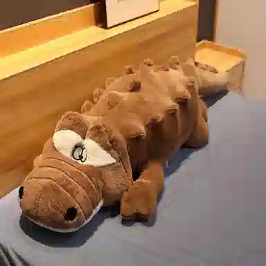 100cm120cm150cm170cm