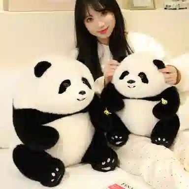 35cm45cm