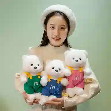 25cm