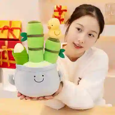 25cm