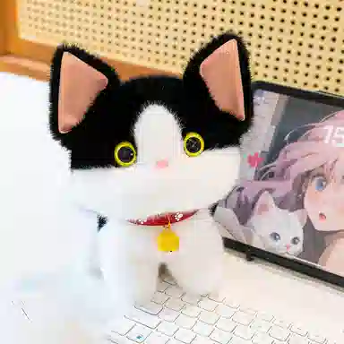 23cm