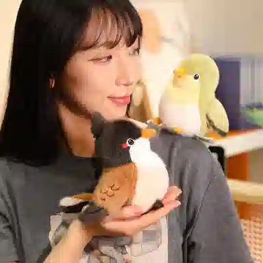 13cm