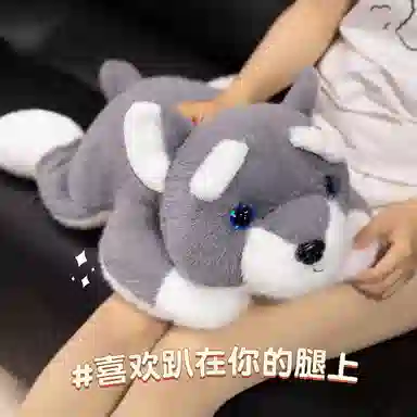 30cm40cm60cm
